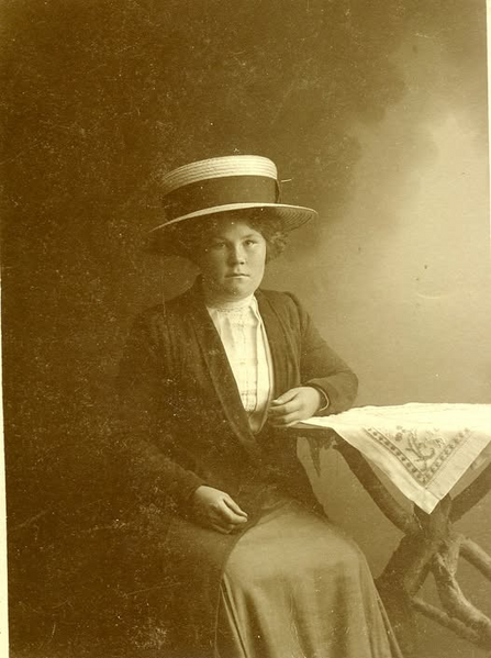 Fil:Dalsland-Ånimskog-Årbol Hanna Johansson.png