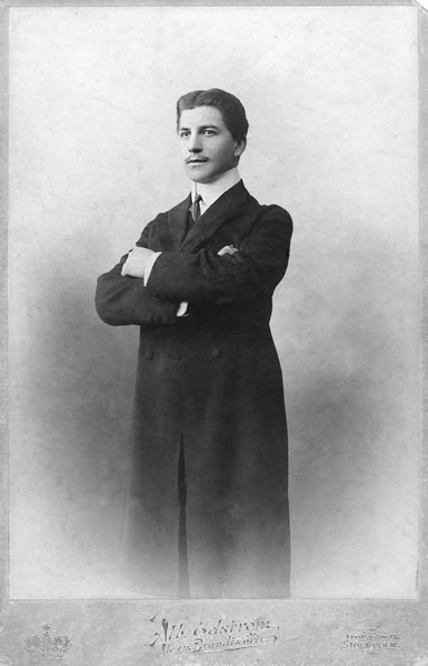 Fil:Dalsland-Ånimskog-Årbol ung Johan Sande'n.png