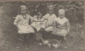 Dalsland-Ånimskog-Arfvedsson Myran.png