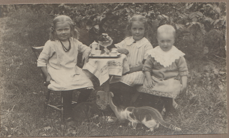 Fil:Dalsland-Ånimskog-Arfvedsson Myran.png