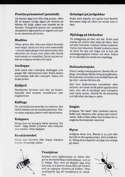 Fil:Dalsland-Ånimskog-Byabladet-Nr-19-1991 3.jpg