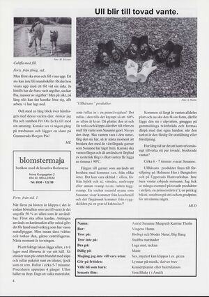 Dalsland-Ånimskog-Byabladet-Nr-74-2005 4.jpg