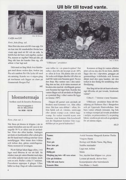 Fil:Dalsland-Ånimskog-Byabladet-Nr-74-2005 4.jpg