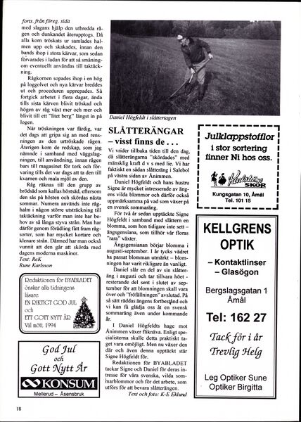 Fil:Dalsland-Ånimskog-Byabladet-nr-28-1993 18.jpg