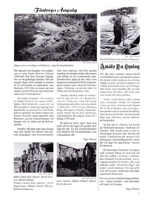 Dalsland-Ånimskog-Byabladet-nr-94-2010 7.jpg