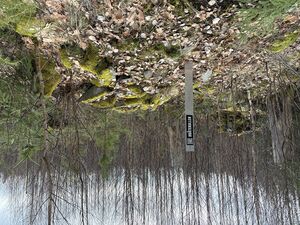 Dalsland-Ånimskog-Djupslund Bråtekullen.jpg