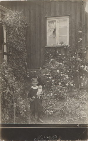 Dalsland-Ånimskog-Fågelberget 3.png