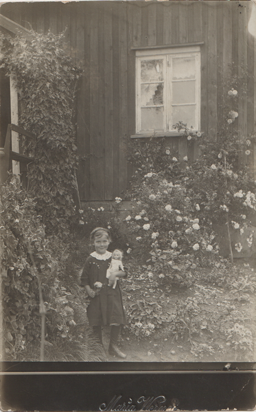 Fil:Dalsland-Ånimskog-Fågelberget 3.png