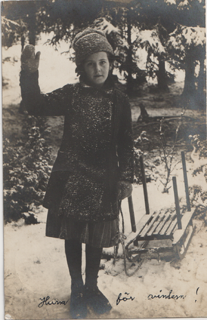 Dalsland-Ånimskog-Fågelberget Astrid Werner.png