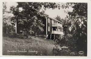 Dalsland-Ånimskog-Furusjöns Pensionat Ånimskog.jpg