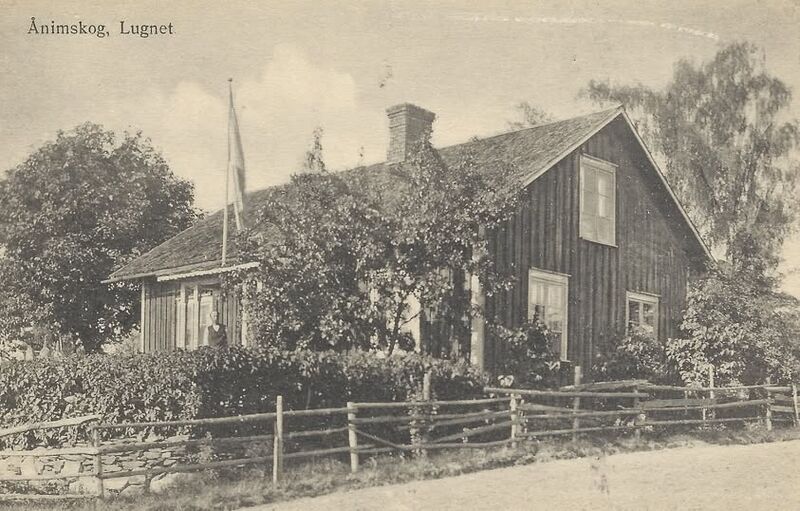 Fil:Dalsland-Ånimskog-Gatan Lungnet.jpg