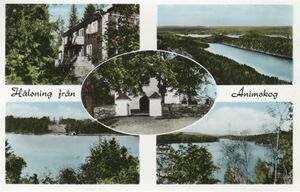 Dalsland-Ånimskog-Hälsning från Åniskog.jpg