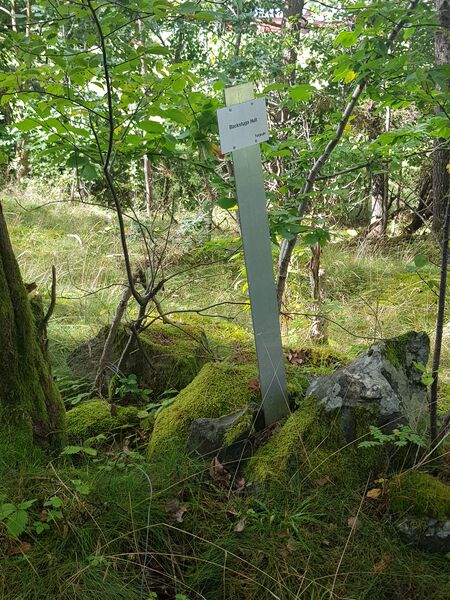 Fil:Dalsland-Ånimskog-Hult Backstuga.jpg