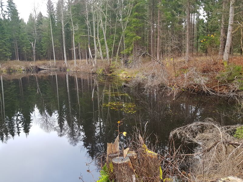 Fil:Dalsland-Ånimskog-Hult Pettersjö idag.jpg