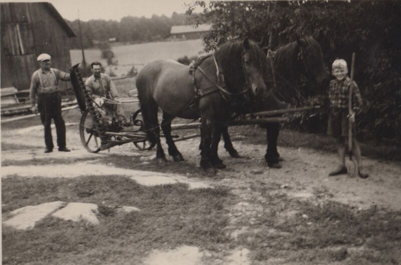 Fil:Dalsland-Ånimskog-Hult Slåtter 1946 Hult.jpg
