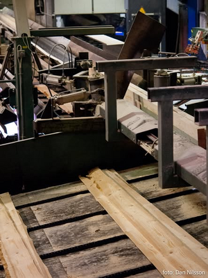 Dalsland-Ånimskog-Lilla Mossen kantverk.png