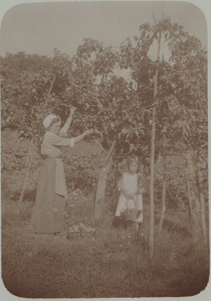 Fil:Dalsland-Ånimskog-Myran Eila Vicia.png