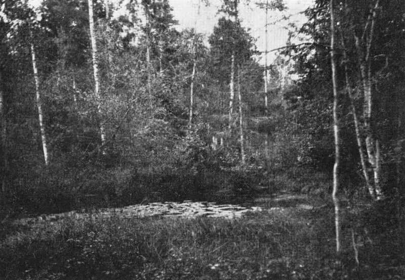 Fil:Dalsland-Ånimskog-Näckrosdammen.jpg