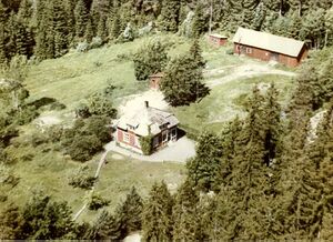 Dalsland-Ånimskog-Norget flygfoto Ca 1960.jpg