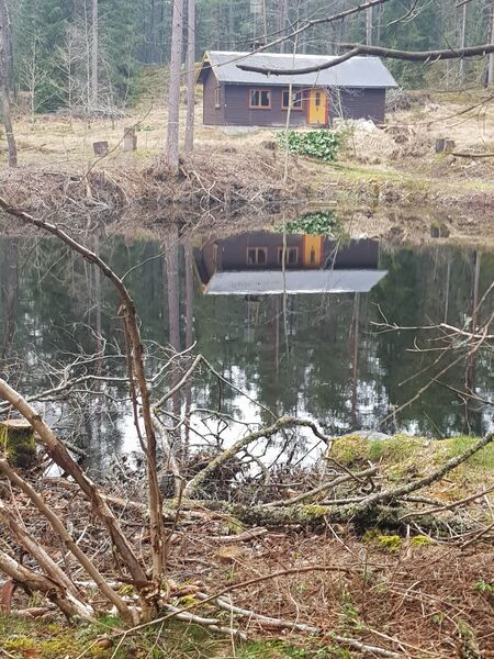 Fil:Dalsland-Ånimskog-Pettersö Hus.jpg