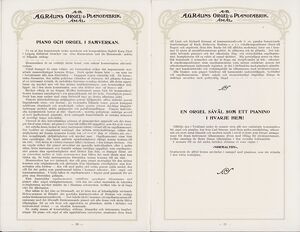 Dalsland-Ånimskog-Rålins-kat. sid 20-21.jpg