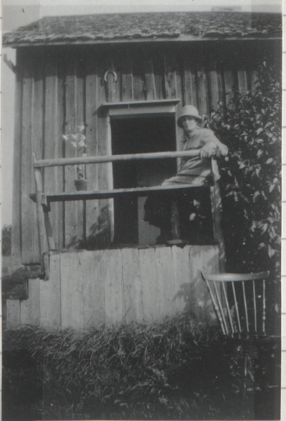 Fil:Dalsland-Ånimskog-RessbynAnna Björklund.png