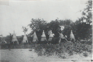 Dalsland-Ånimskog-Ressbyn Bikupor.png