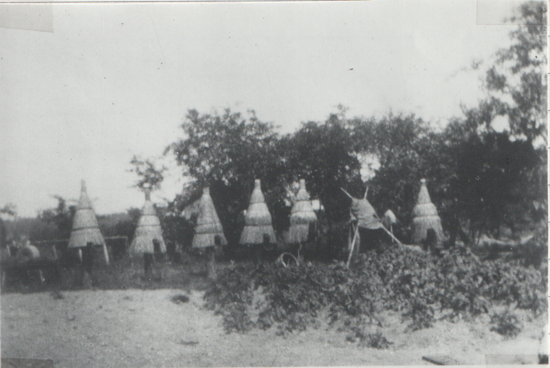 Fil:Dalsland-Ånimskog-Ressbyn Bikupor.png