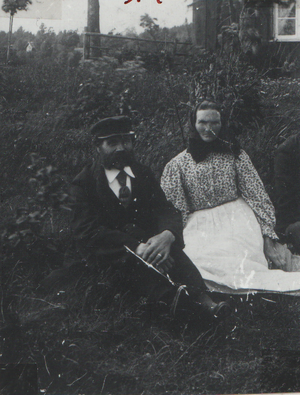 Dalsland-Ånimskog-Ressbyn Dalin.png