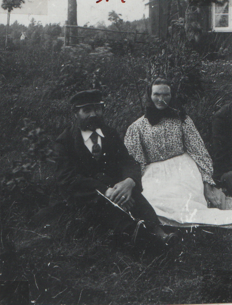 Fil:Dalsland-Ånimskog-Ressbyn Dalin.png