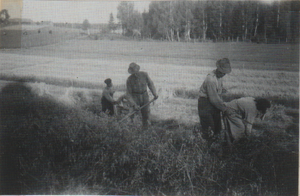 Dalsland-Ånimskog-Ressbyn Havre.png