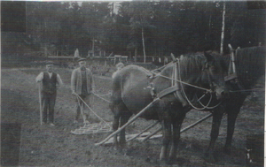 Dalsland-Ånimskog-Ressbyn Karl Lindberg.png