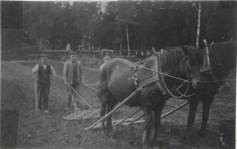 Fil:Dalsland-Ånimskog-Ressbyn Karl Lindberg.png