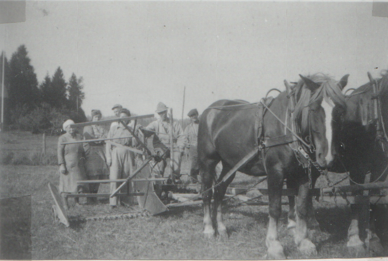 Fil:Dalsland-Ånimskog-Ressbyn skörd.png