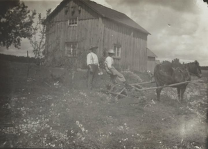 Dalsland-Ånimskog-Säljebyn Maa.png