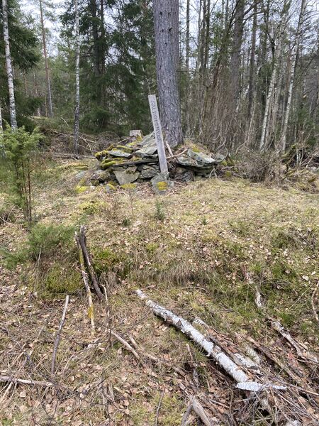 Fil:Dalsland-Ånimskog-Salebolsmyren-1.jpg