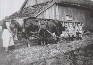 Dalsland-Ånimskog-Tollesbyn Plöjning.png