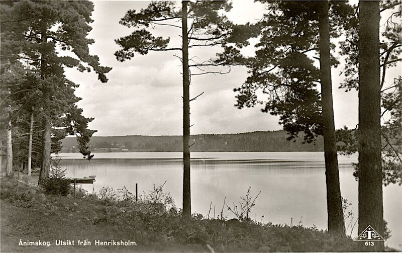 Fil:Dalsland-Ånimskog-UtsiktFrånHenriksholm.jpg