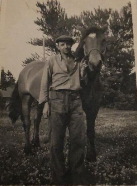 Fil:Dalsland-Ånimskog-Valdemar i Ressbyn.jpg