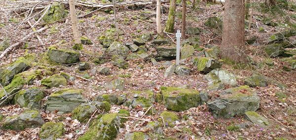 Torpruin efter torpet Vinterhålet som låg under hemmanet Kingebol. Foto av Lars Eriksson 10 april 2025.