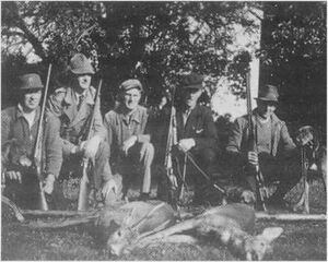 Dalsland-ånimskog-övre salebol5.jpg