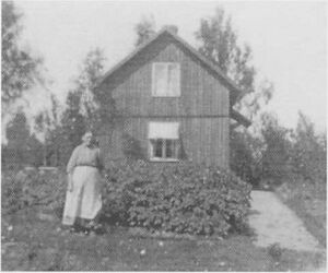 Dalsland-ånimskog-kullen (stora kilane)2.jpg