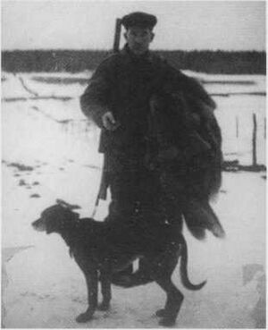 Dalsland-ånimskog-nedre salebol5.jpg