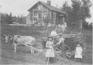 Dalsland-ånimskog-södra håkerud2.jpg