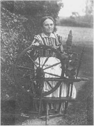 Dalsland-ånimskog-vingnäs 1.12 och 1.13(3).jpg