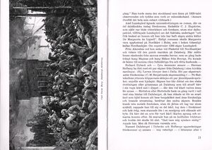 Dalsland-Bolstad-Dalaborg-Turisthandledning -Bördh11.jpg