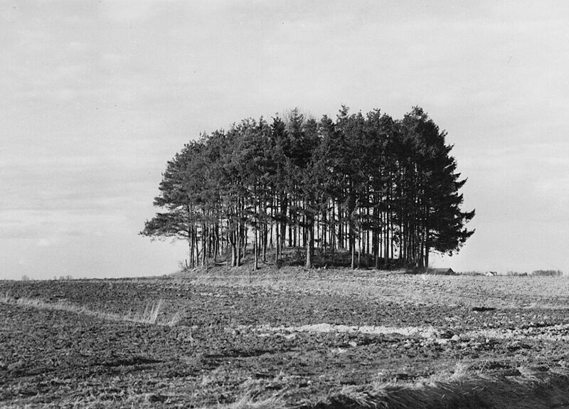 Fil:Dalsland-Bolstad-Kung Kåres Hög.jpeg