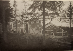 Dalsland-Fröskog-Anrikningsverk stora strand.png