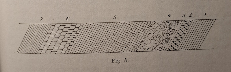 Fil:Dalsland-Fröskog-Stora strand kalkerskiffer.png