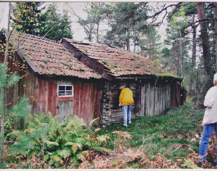 Fil:Dalsland-Kongerud-Ladugård norr.jpg